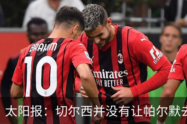 太阳报：切尔西并没有让帕尔默去游说罗杰斯，但两人感情很好